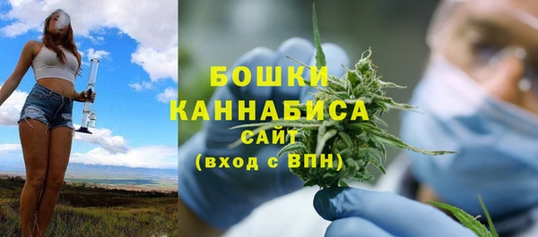 гидра Пролетарск