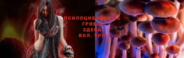 гидропоника Протвино