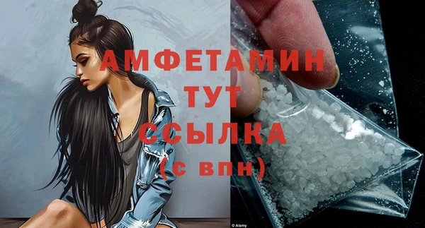 крисы Гатчина