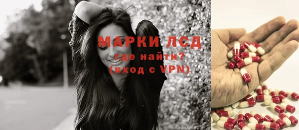 крисы Гатчина