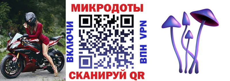 дарнет шоп  Артёмовский  Псилоцибиновые грибы Psilocybe 